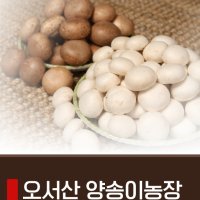 충남 보령 오서산 양송이 갈색 양송이 특품1kg,2kg,흰색.하얀 양송이 상품,갈색못난이(파지)