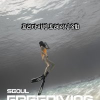 [서울프리다이빙아카데미센터] 프리다이빙 트레이닝 8회