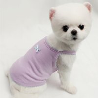 레이스 리본 민소매 티 강아지 비숑 옷 고양이 티셔츠 포메라니안 여름 S XL