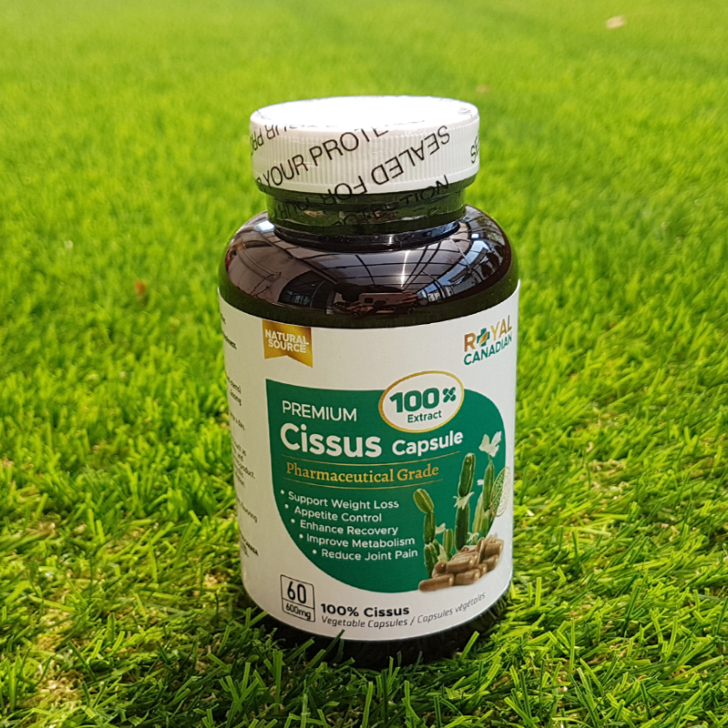 캐나다 100배 농축 시서스 100% 캡슐 600mg 60정 씨서스 시저스 CISSUS