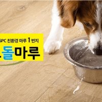 에코돌마루-항균 항곰팡이 특허받은 프리미엄급 SPC 친환경마루 (반평,1.625m2)