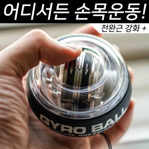 헬스몬 자이로볼 전완근 손목 운동 기구 (하드케이스 포함)