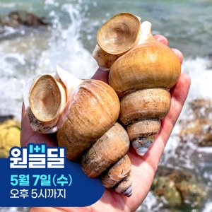 [선주직송] 이프로마켓 구룡포 백골뱅이 자연산 백고동 1kg
