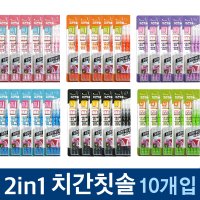 보성 투인원 치간칫솔 10개입 x 5