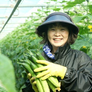 클로렐라 농법 동강애 생앤토 오이 30개