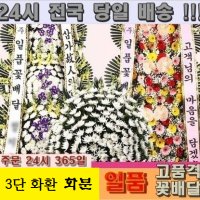 개업 축하 결혼 금전수 돈나무 행운효로민락소극장 공연장 연극 극장 부산 수영구 수영로 765-1 채안빌딩 지하 1층 수영동 525 (결혼식장축하3단 화환 전국당일배송3시간 연결