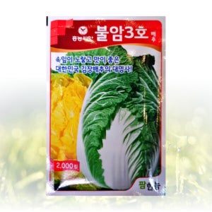 불암3호 배추 씨앗 2000립 팜한농 씨 종자 모종 항암 고추 개걸무 꽃양배추 토종 불암