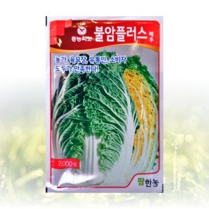 불암플러스 배추 씨앗 2000립 팜한농 씨 종자 모종 항암 고추 무 꽃양배추 토종 베타