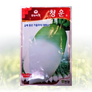 청운 무 씨앗 2000립/팜한농 씨 종자 모종 항암 고추 무 꽃양배추 토종 베타 불암