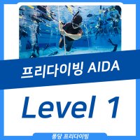 프리다이빙 AIDA Lv1 자격증 코스 [퐁당 프리다이빙][서울,경기]