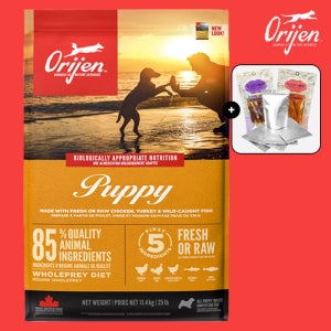 [소분팩+간식] 오리젠 퍼피 11.4kg