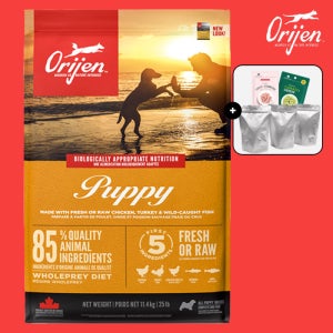 (소분팩+간식) 오리젠 퍼피 11.4kg