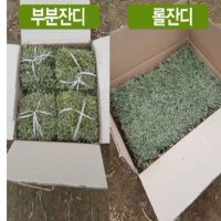 잔디깔기 잔디심기 들잔디 산소잔디