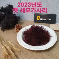 진도 자연산 말린 세모가사리 가시리 해초 비빔밥 샐러드 재료 100g