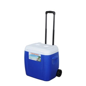 캠프타임 캐리어형 3종 아이스박스 28L(블루)