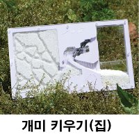 개미키우키 개미집 굴 관찰하기 곤충 농장 사육 세트