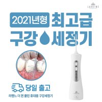 라헨느 휴대용 무선 구강세정기 LHWP-8000GR