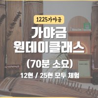 가야금 원데이 클래스 수강권 1회 70분 취미 입문 레슨 배우기