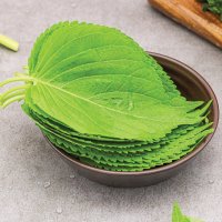 싱싱한 단깻잎 국산 잎채소 깻잎 20단(500g)