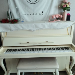 피아노 리폼 전국 피아노 리폼