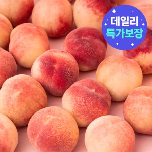 제철과일 최저가 가성비상품