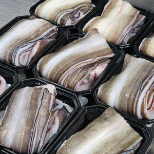 최상급 통영 자연산 손질 바다장어 붕장어1kg