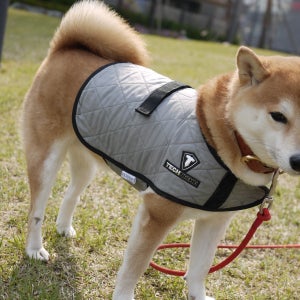 테크니쉬 하이퍼쿨 반려견 쿨조끼