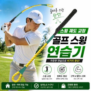 골프 스윙 연습기 스윙 교정 비거리 향상 실내 골프 연습 필수템