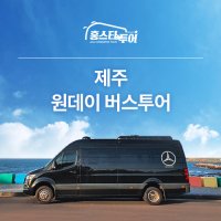 차없이 제주도 원데이 벤츠 버스투어, 토박이 전문 가이드와 함께하는 홍스타투어 동쪽 서쪽 동부 서부 럭셔리 스프린터