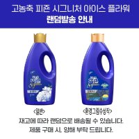 피죤 리치퍼퓸 섬유유연제 시그니처 아이스플라워 2L