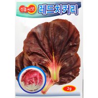 레드치커리 씨앗 2g 22년