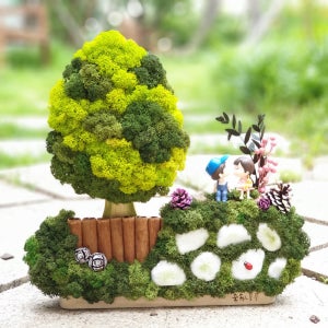 스칸디아모스 화분 실내 공기정화식물 천연이끼 작은숲속 바위커플16