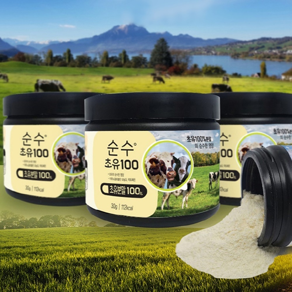 초유단백질 분말 섭취 순수 초유 100