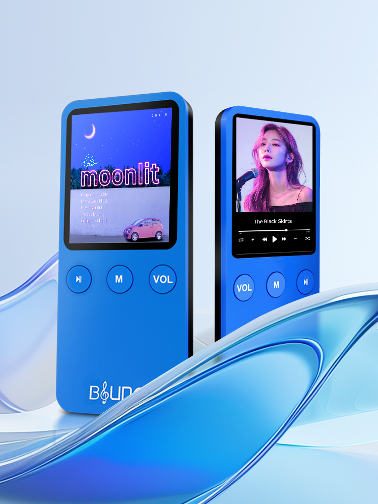 SONY Walkman NW-ZX507 64GB (정품) : 다나와 가격비교