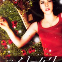 DVD 더 시크릿 [THE SECRET]