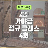 25현 가야금 정규 클래스 4회 수강권 취미 레슨 배우기