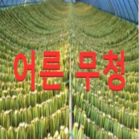 (성실농원)강원도 시래기 어른무청(1kg) 농장직송