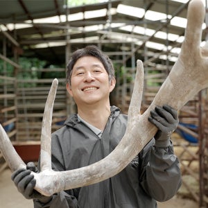해담녹용 러시아계 엘크사슴 녹용 진액 건강즙 7.2kg 3달분