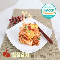 무배] 25년전통 HACCP 일품김치 일품겉절이김치 10kg 한국김치전문점