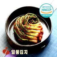 무배] 25년전통 HACCP 일품김치 일품파김치 5kg 한국김치전문점