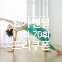 [10회/20회쿠폰]요가,필라테스,플라잉,테라피[요가앤필][성북구요가]