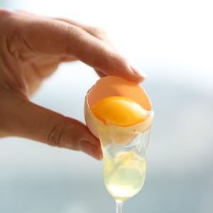 유기농 동물복지 nongmo 백봉오골계 유정란 30구 초란 농장직송