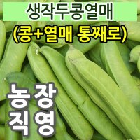 햇 생작두콩(콩+열매 통째로) 10kg 순차적 발송 / 건 작두콩 깍지 차 효소 직영농장