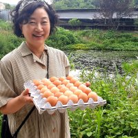 안심대안사료 맑은 유정란 20구 30구 40구 계란 날계란 난각번호 무항생제 계란