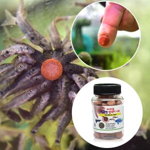 YB피쉬탭 부착형 사료170g-관상어 물고기 열대어 먹이 밥
