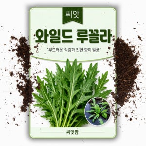와일드루꼴라씨앗 1000립 루꼴라 루콜라 허브 씨앗 씨 종자 키우기