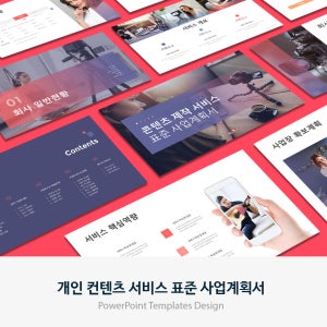 개인 콘텐츠 서비스 표준 사업계획서 PPT 템플릿