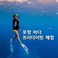 포항 프리다이빙 체험 [바다]웨일스다이빙