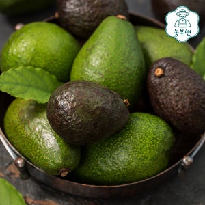 최상급 생 아보카도10과