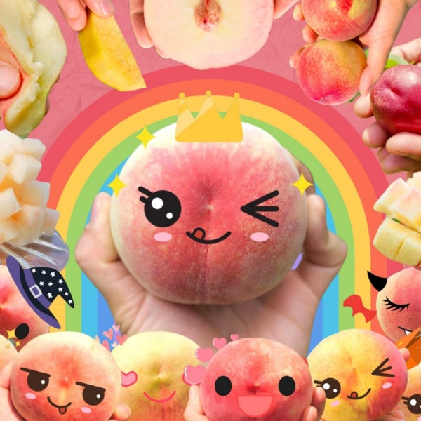 [도도명가] 스마트팜 복숭아 물복 딱복 백도 황도 딱딱이 말랑이 영천 2.4kg
